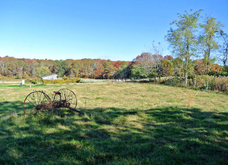 farm field at Peterson Farm