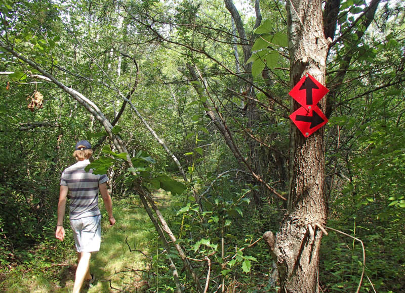 man walking on the trail at Star of the Sea Reserve in Dartmouth