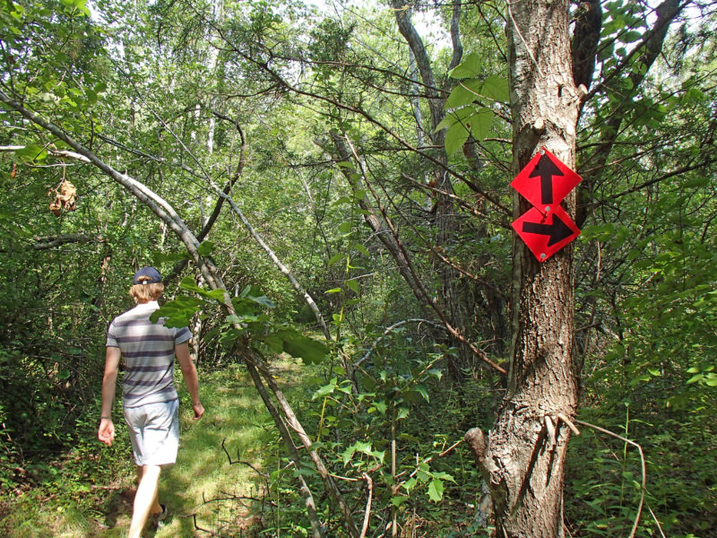 man walking on the trail at Star of the Sea Reserve in Dartmouth