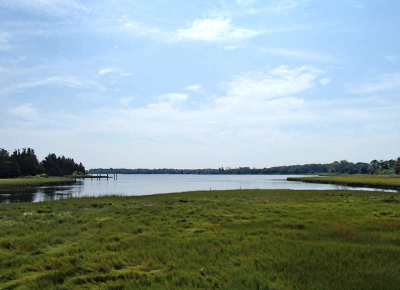 view of Apponagansett Bay from Star of the Sea Reserve in Dartmouth