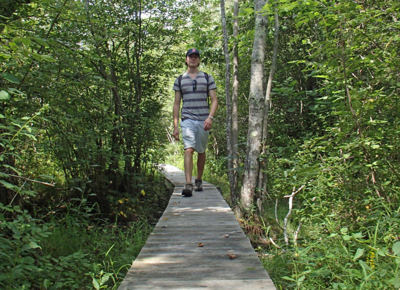 man walking on boardwalk on trail at Star of the Sea Reserve in Dartmouth