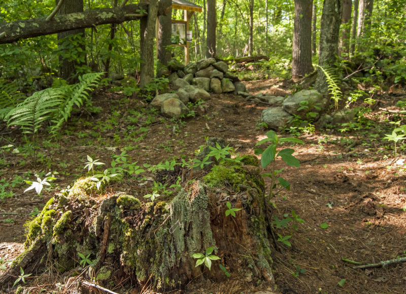 entrance to the Woodcock Preserve from Tinkhamtown Woodlands in Mattapoisett