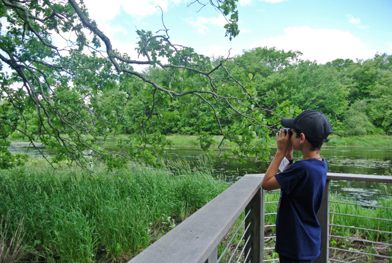 a boy birding, looking at a tree on the Acushnet River with binoculars