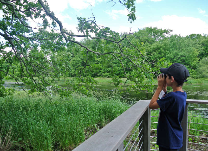 a boy birding, looking at a tree on the Acushnet River with binoculars