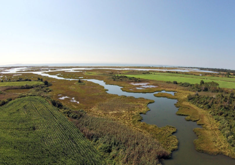 aerial view of Ocean View Farm and Buzzards Bay