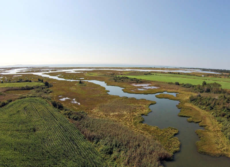 aerial view of Ocean View Farm and Buzzards Bay