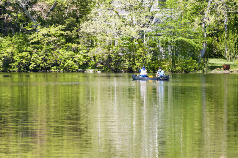 Snipatuit Pond in Rochester is a great place to go freshwater fishing