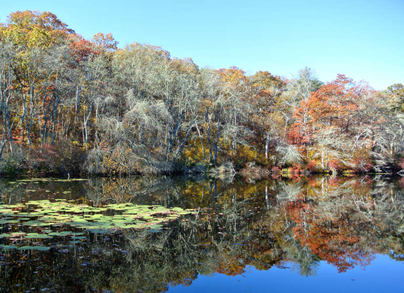 A deep kettle pond called the Punch Bowl at Beebe Woods in Falmouth.