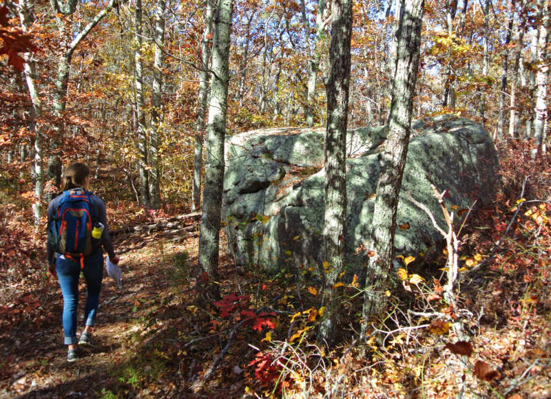 a woman hiking past a large boulder at Beebe Woods in Falmouth