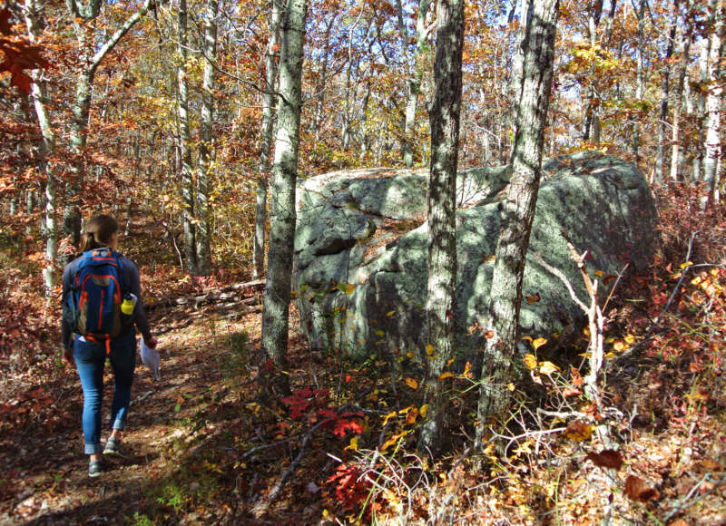 a woman hiking past a large boulder at Beebe Woods in Falmouth