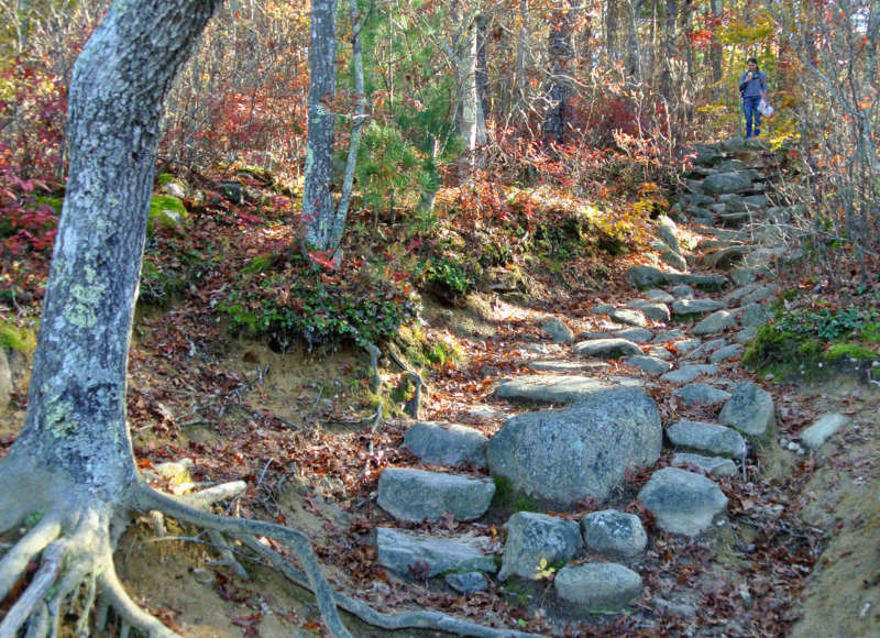 A person walking down a steep trail at Beebe Woods in Falmouth.
