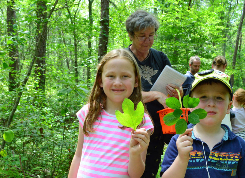 Two kids holding up leaves in Beebe Woods in spring.