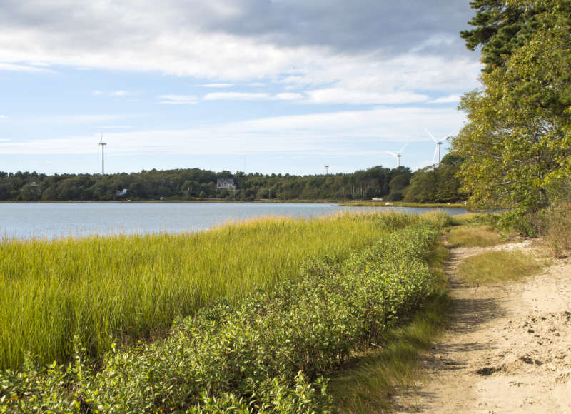 Trail along the salt marsh shoreline at Little Buttermilk Bay Woods in Bourne.