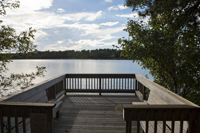 View of water from lookout platform at Little Buttermilk Bay Woods in Bourne.