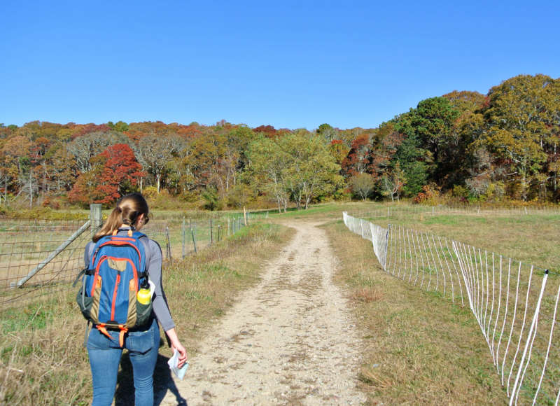 A woman walking down a trail at Peterson Farm in Falmouth.