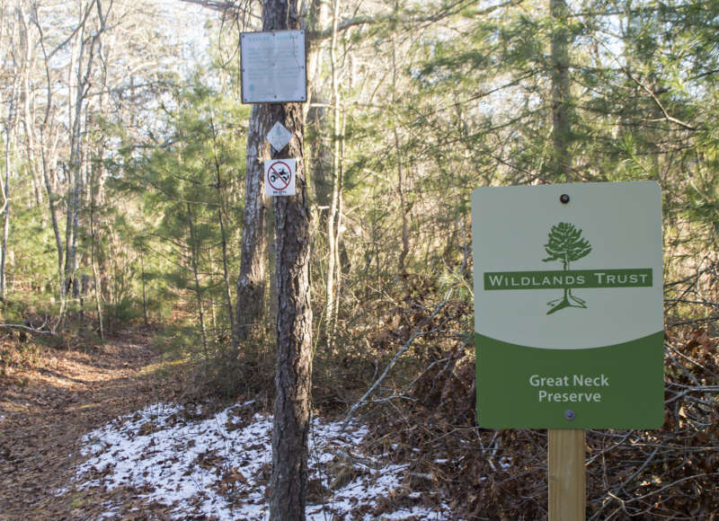 Great Neck Conservation Area is owned by the Wildlands Trust.