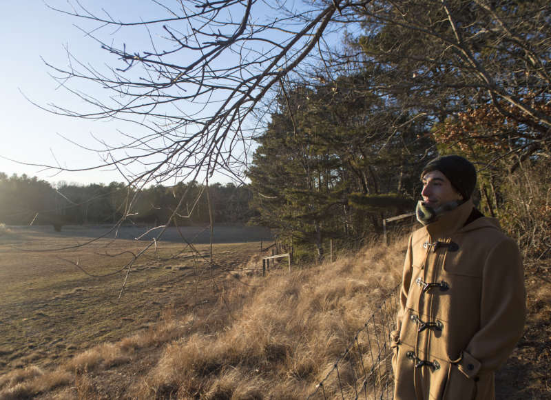 A man looking out over farmland from the trail at Great Neck Conservation Area in Wareham.