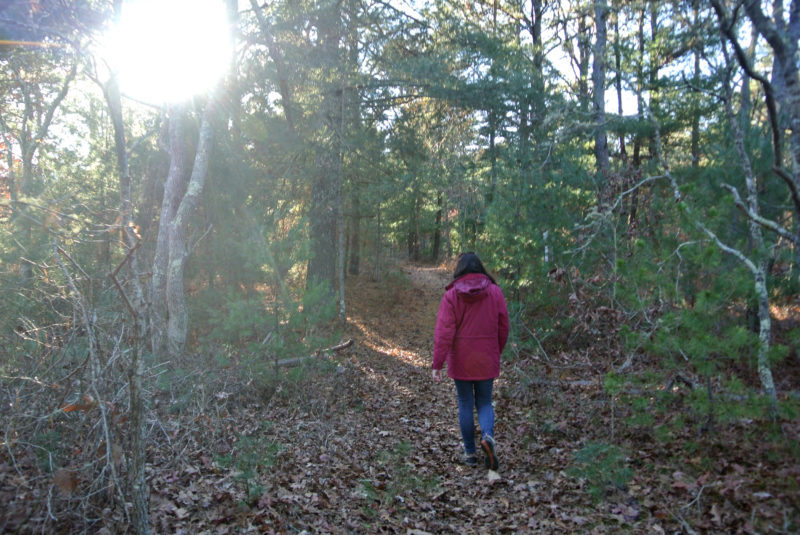 A woman walking in the woods at Red Brook Pond Conservation Area in Bourne.