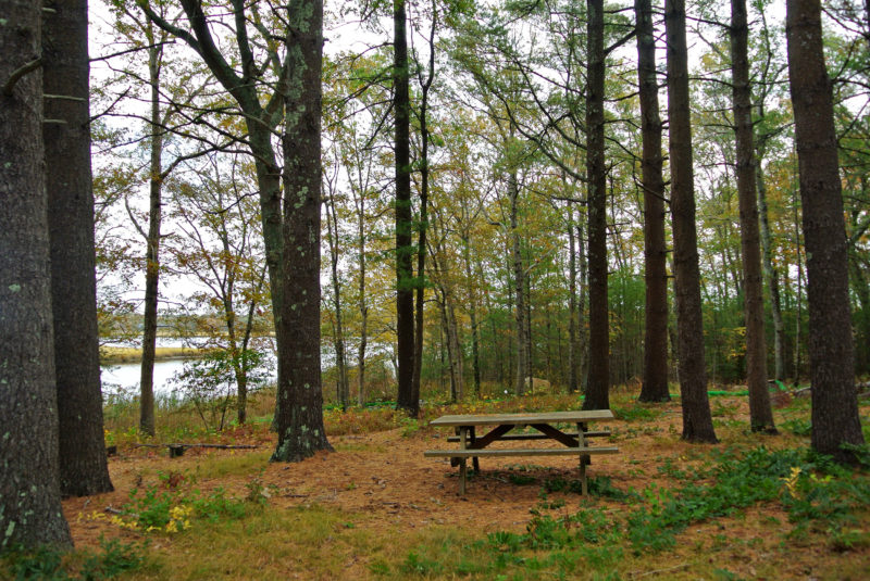 A picnic table in the trees by the Sippican River at DePina Landing.