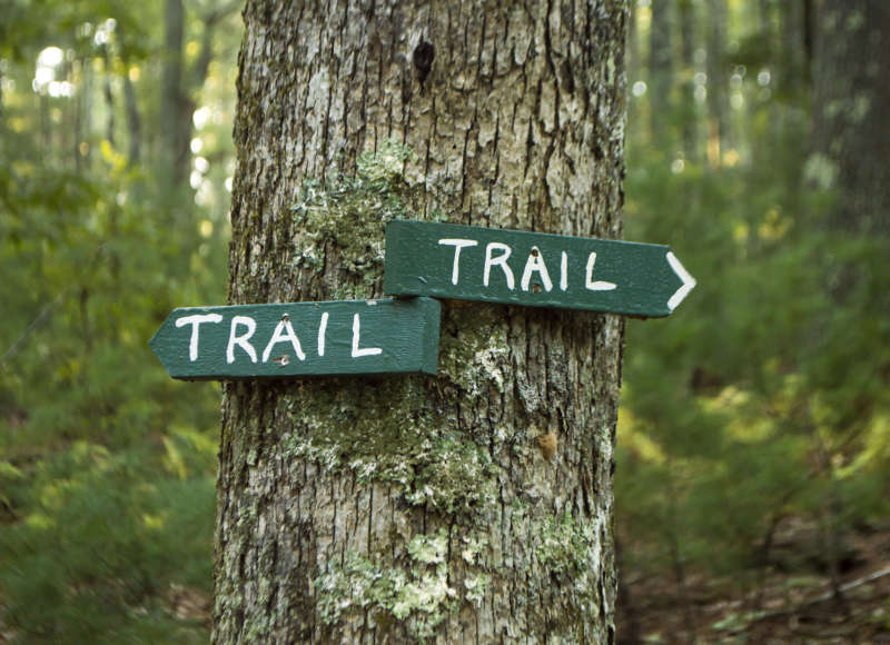 Trail signs on a tree at Lionberger Woods in Rochester.