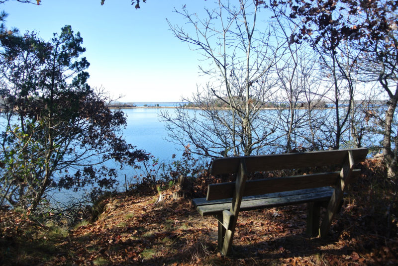 Bench with a view over Little Bay at Little Bay and Monks Park in Bourne.