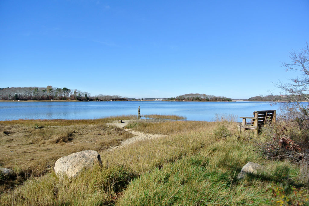 Little Bay Conservation Area (Bourne) Buzzards Bay Coalition