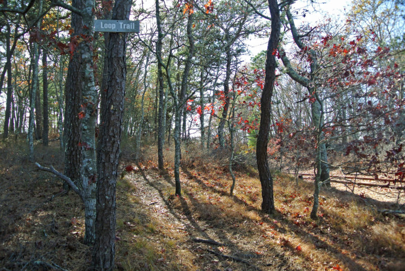 Loop Trail at Little Bay and Monks Park in Bourne.