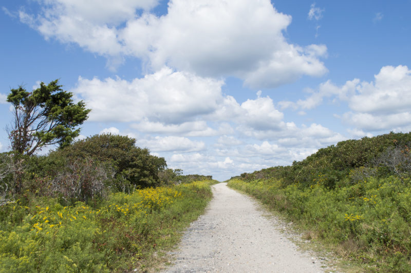 Trail at Gooseberry Island in Westport.