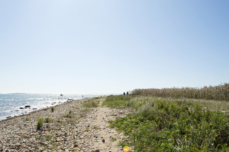 Rocky beach at Gooseberry Island in Westport overlooking Buzzards Bay.