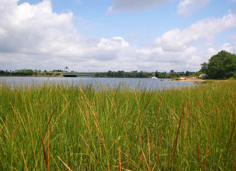 The shoreline of Marsh Island with Interstate 195 in the distance