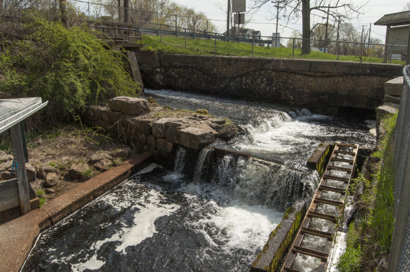 Fish ladder on the Agawam River in Wareham.