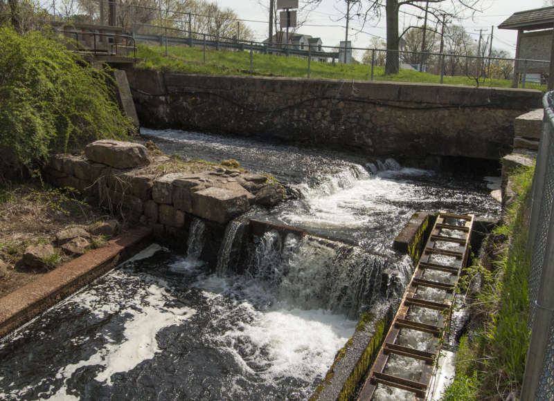 Fish ladder on the Agawam River in Wareham.