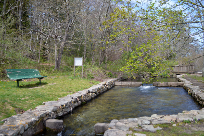 Herring River at Carter Beal Conservation Area in Bourne.