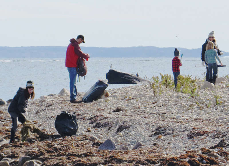 People cleaning up the shoreline of Gooseberry Island in Westport.