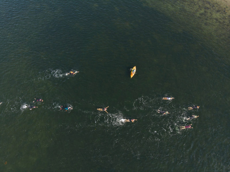 A kayak escort and swimmers crossing New Bedford Harbor, as seen from above