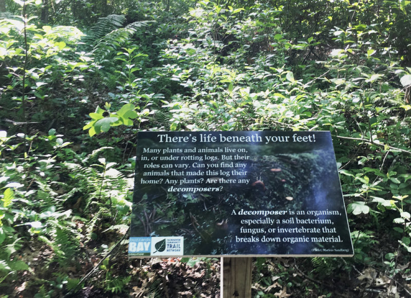 A sign at the trail discussing how decomposers break down detritus on the forest floor.