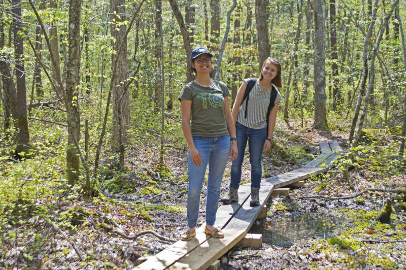 Two women walking on a trail of bog boards through a muddy part of the woods.