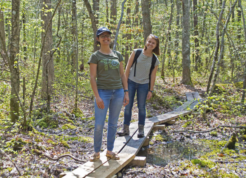 Two women walking on a trail of bog boards through a muddy part of the woods.