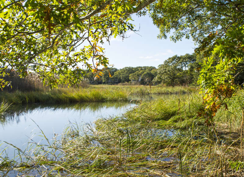 Salt marshes along Wild Harbor River at Quaker Marsh Conservation Area.