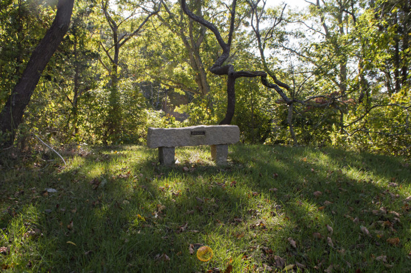 Stone bench at Quaker Marsh in Falmouth.