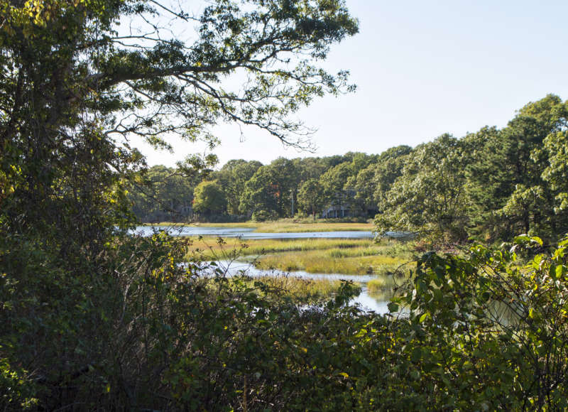 Salt marshes along Wild Harbor River at Quaker Marsh Conservation Area.