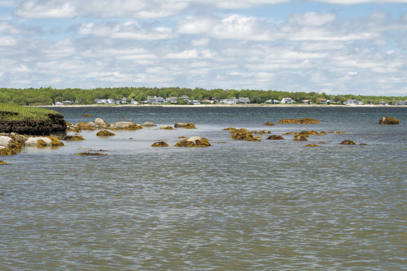 Houses on West Island