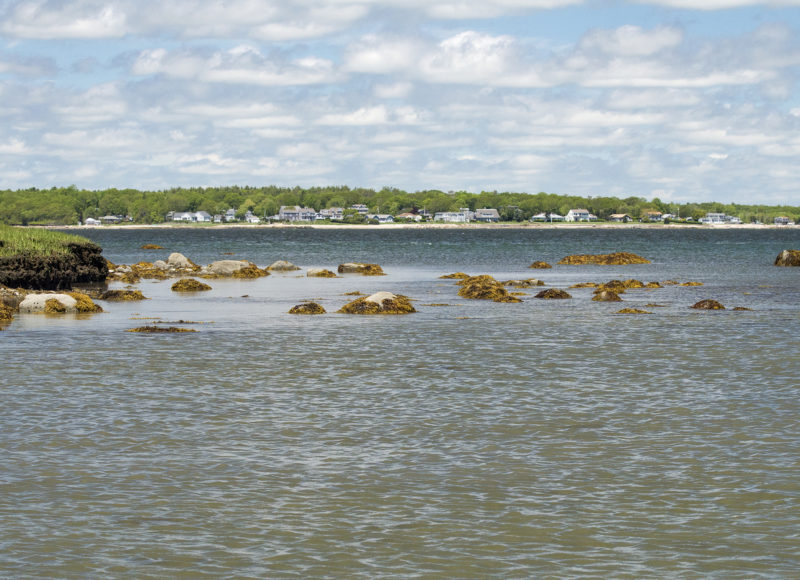 Houses on West Island