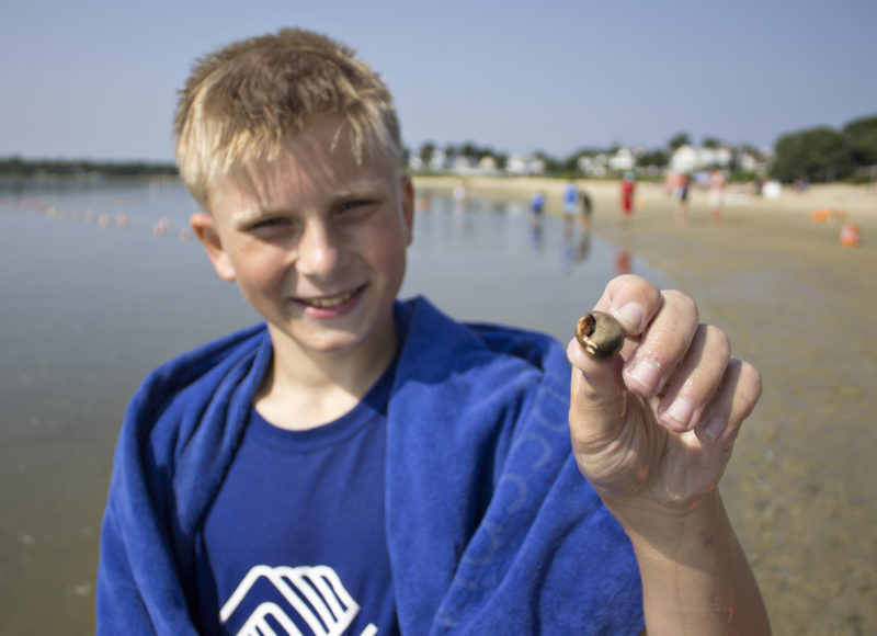 Boy holding a hermit crab on the beach