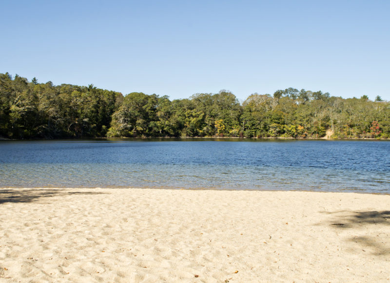 Sandy beach and blue waters of Grews Pond, in Falmouth's Goodwill Park