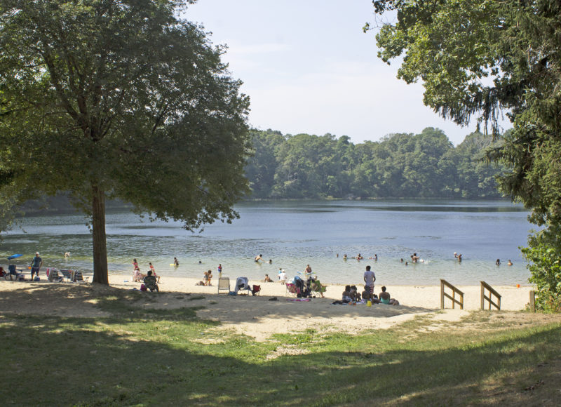 People gathered on the sandy beach and swimming in the waters of Grews Pond, at Goodwill Park in Falmouth