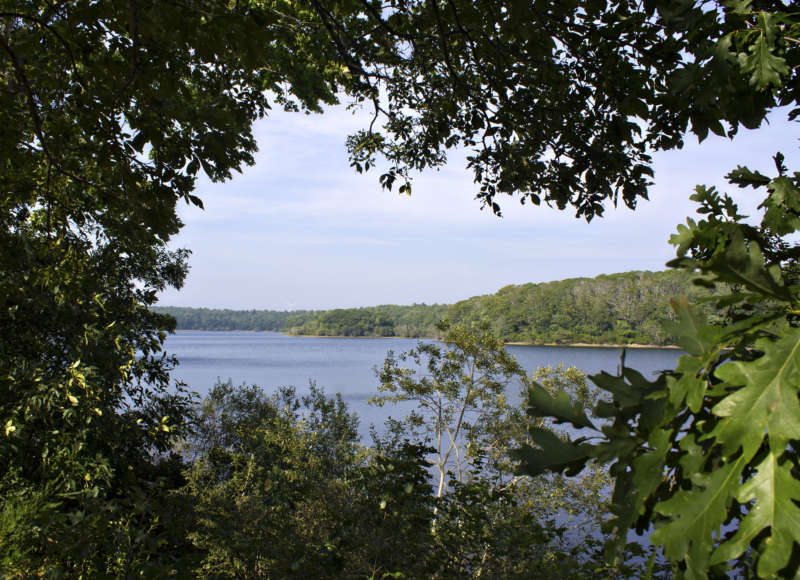 Long Pond framed by leaves