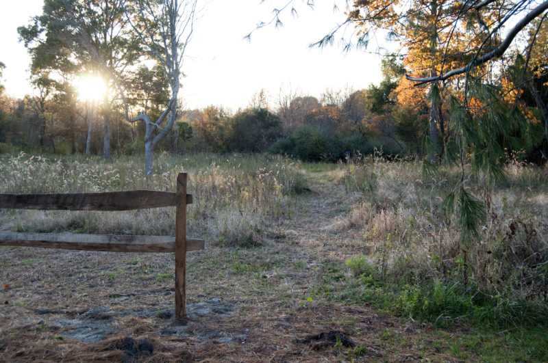 Meadow at Keating Woods at sunset