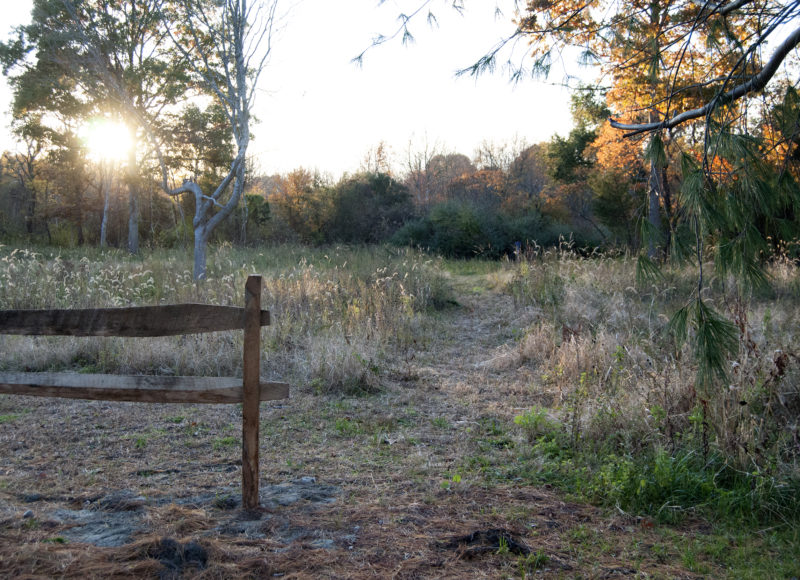 Meadow at Keating Woods at sunset