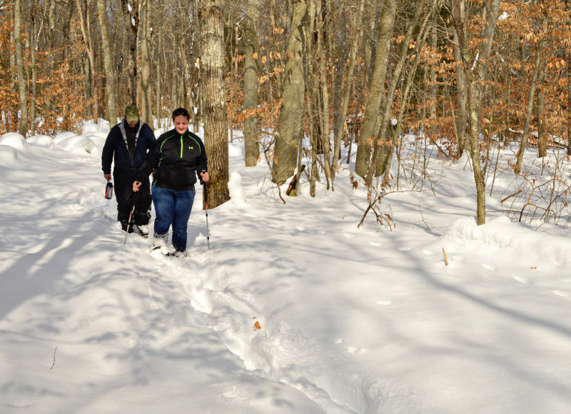 Man and woman cross-country skiing at Shaw Farm Trail in Mattapoiset